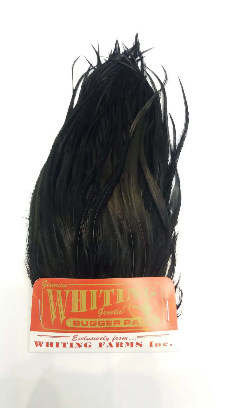 Whiting Bugger Pack in Black-1